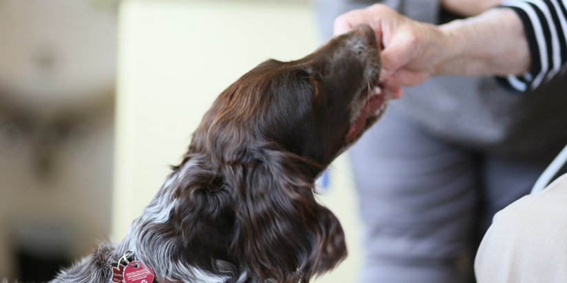 Hundebesuchszeit im Seniorencentrum.