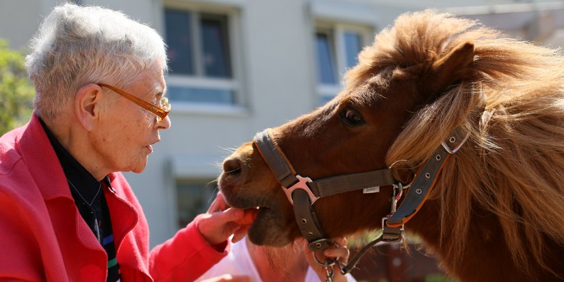 Eine Bewohnerin kümmert sich um die hauseigenen Ponys.