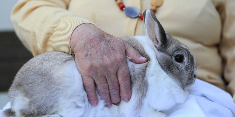 Bewohnerin streichelt ein Kaninchen auf ihrem Schoß.