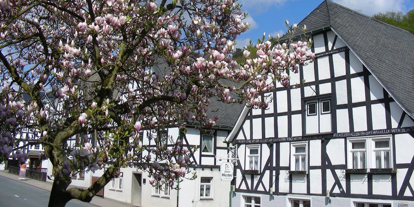 Fachwerkhäuser und ein blühender Baum in Bad Fredeburg.