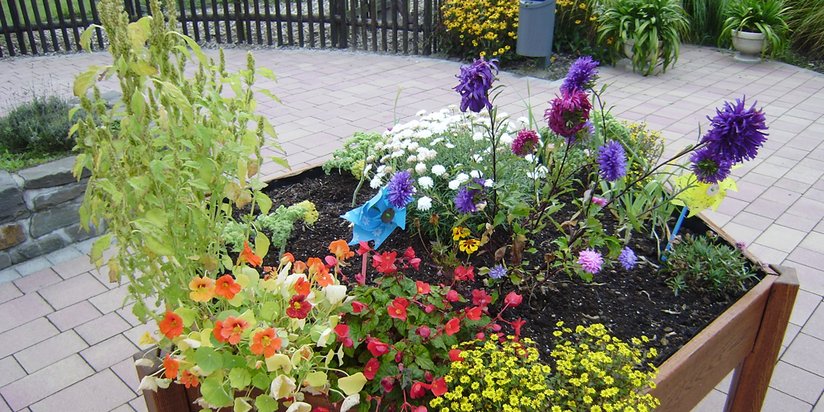 Buntes Blumenbeet im Garten des Seniorencentrums.